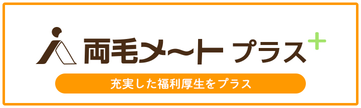 両毛メートとは
